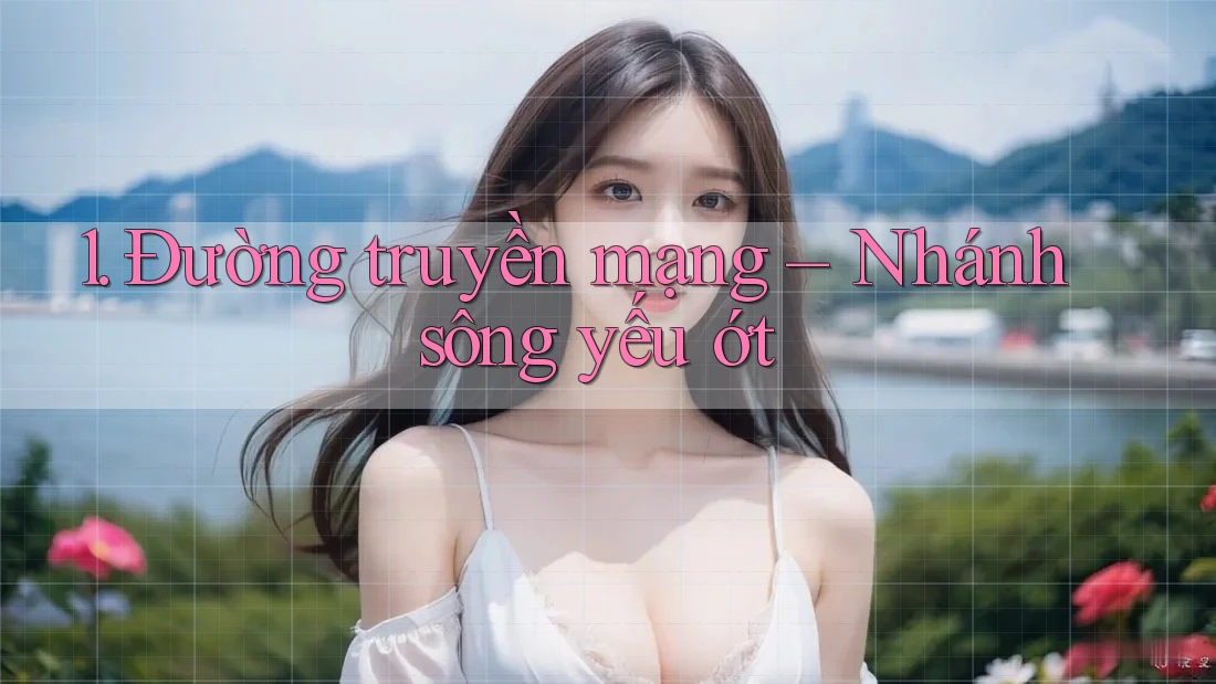 1. Đường truyền mạng – Nhánh sông yếu ớt
