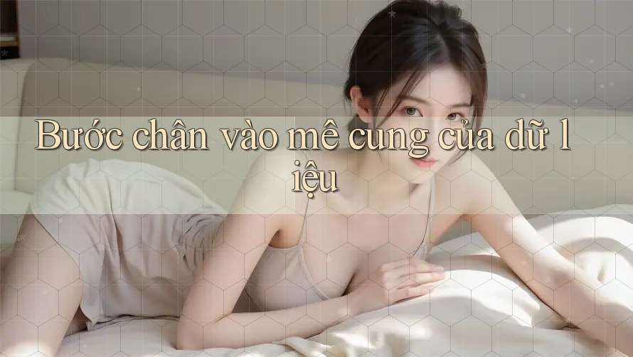 Bước chân vào mê cung của dữ liệu