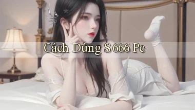 cách dùng s 666 pc