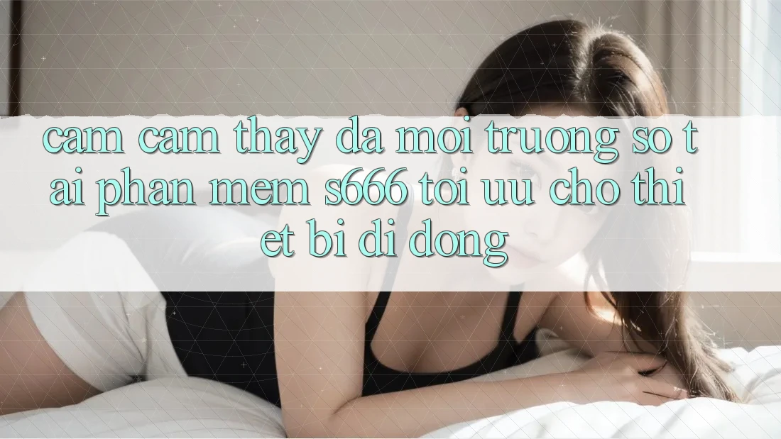 Cảm cảm thấy Đa Môi trường số – Tải Phần mềm s666 Tối Ưu Cho Thiết Bị Di Động