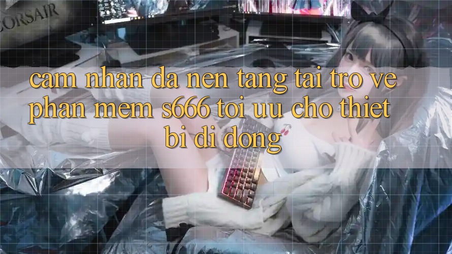 Cảm nhận Đa Nền Tảng – Tải trở về Phần mềm s666 Tối Ưu Cho Thiết Bị Di Động Cảm nhận Đa Nền Tảng – Tải trở về Phần mềm s666 Tối Ưu Cho Thiết Bị Di Động