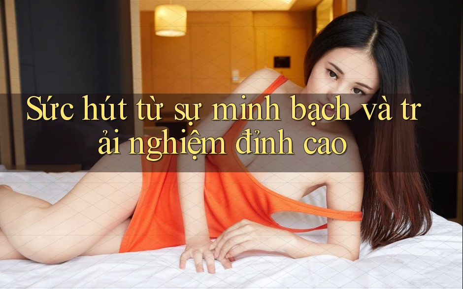 Sức hút từ sự minh bạch và trải nghiệm đỉnh cao Sức hút từ sự minh bạch và trải nghiệm đỉnh cao