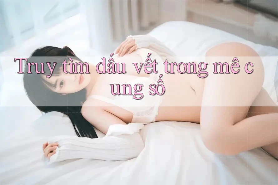 Truy tìm dấu vết trong mê cung số