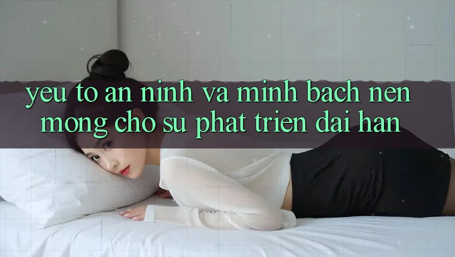 Yếu Tố An ninh Và Minh bạch – Nền Móng Cho Sự Phát Triển Dài hạn