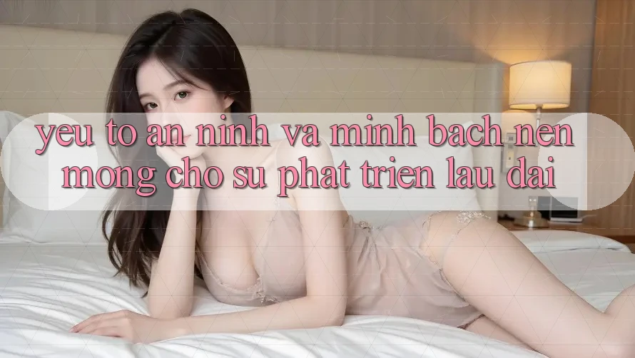 Yếu Tố An ninh Và Minh bạch – Nền Móng Cho Sự Phát Triển Lâu dài