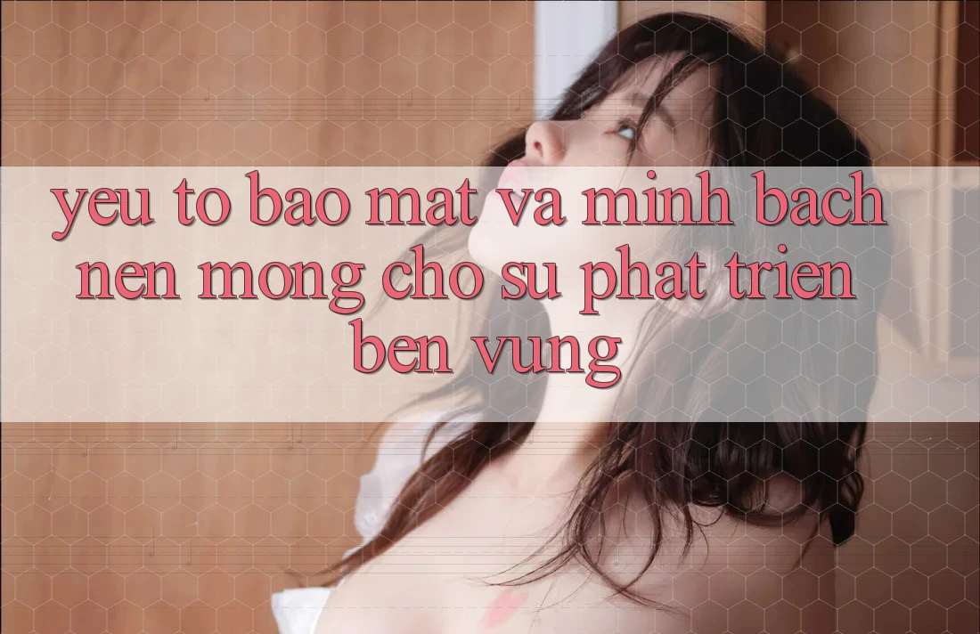 Yếu Tố Bảo Mật Và Minh bạch – Nền Móng Cho Sự Phát Triển Bền Vững Yếu Tố Bảo Mật Và Minh bạch – Nền Móng Cho Sự Phát Triển Bền Vững