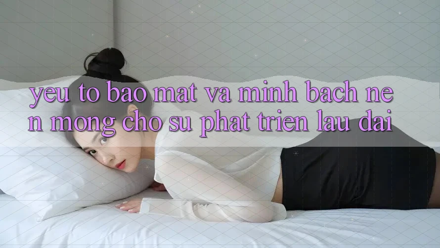 Yếu Tố Bảo Mật Và Minh bạch – Nền Móng Cho Sự Phát Triển Lâu dài Yếu Tố Bảo Mật Và Minh bạch – Nền Móng Cho Sự Phát Triển Lâu dài
