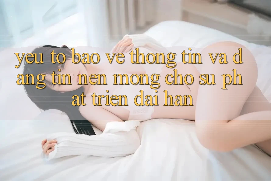 Yếu Tố Bảo vệ thông tin Và Đáng tin – Nền Móng Cho Sự Phát Triển Dài hạn Yếu Tố Bảo vệ thông tin Và Đáng tin – Nền Móng Cho Sự Phát Triển Dài hạn