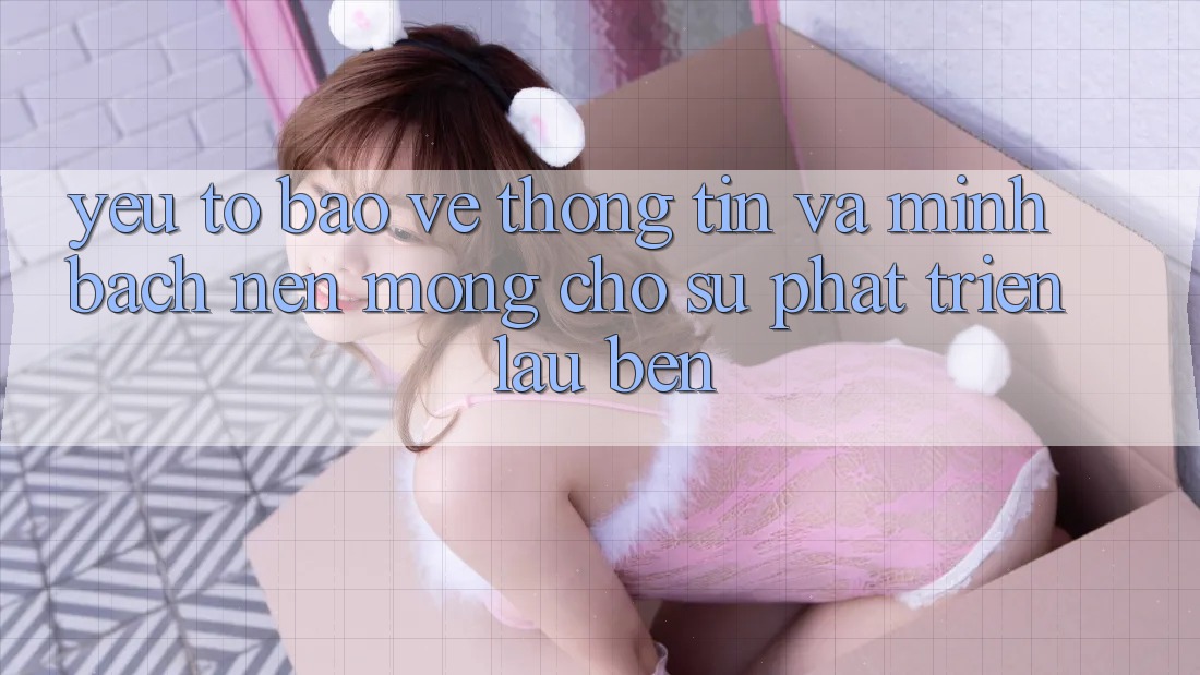 Yếu Tố Bảo vệ thông tin Và Minh bạch – Nền Móng Cho Sự Phát Triển Lâu bền Yếu Tố Bảo vệ thông tin Và Minh bạch – Nền Móng Cho Sự Phát Triển Lâu bền