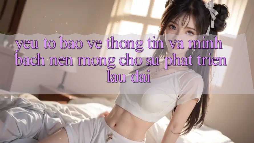 Yếu Tố Bảo vệ thông tin Và Minh bạch – Nền Móng Cho Sự Phát Triển Lâu dài Yếu Tố Bảo vệ thông tin Và Minh bạch – Nền Móng Cho Sự Phát Triển Lâu dài