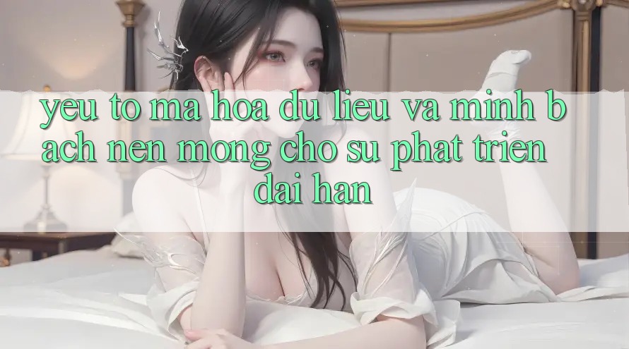 Yếu Tố Mã hóa dữ liệu Và Minh bạch – Nền Móng Cho Sự Phát Triển Dài hạn Yếu Tố Mã hóa dữ liệu Và Minh bạch – Nền Móng Cho Sự Phát Triển Dài hạn