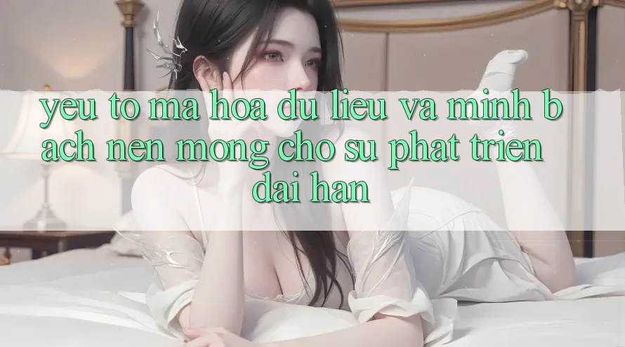 Yếu Tố Mã hóa dữ liệu Và Minh bạch – Nền Móng Cho Sự Phát Triển Dài hạn Yếu Tố Mã hóa dữ liệu Và Minh bạch – Nền Móng Cho Sự Phát Triển Dài hạn