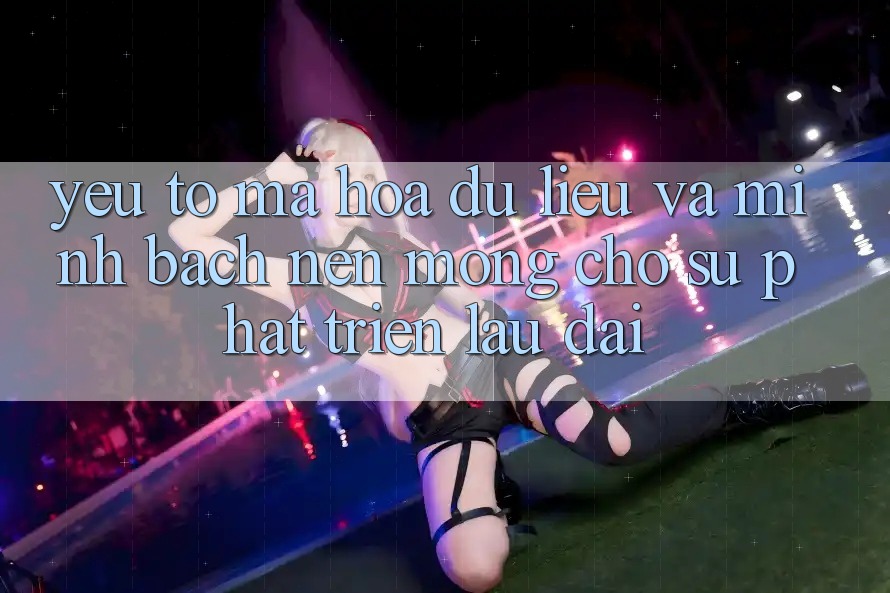 Yếu Tố Mã hóa dữ liệu Và Minh bạch – Nền Móng Cho Sự Phát Triển Lâu dài