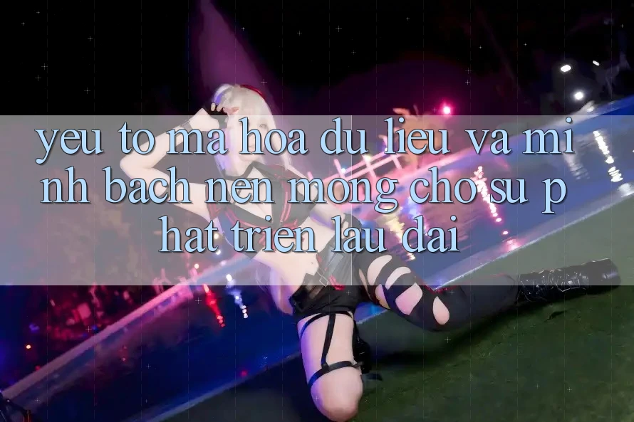 Yếu Tố Mã hóa dữ liệu Và Minh bạch – Nền Móng Cho Sự Phát Triển Lâu dài